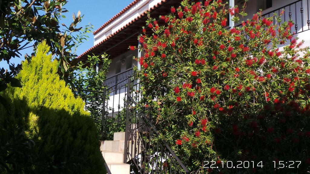 Skiathos Studios Panorama Exterior foto